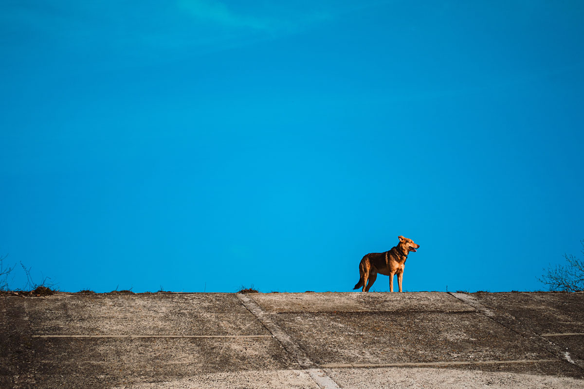 Portfolio Vitalii Yesypenko Photographer from kiev