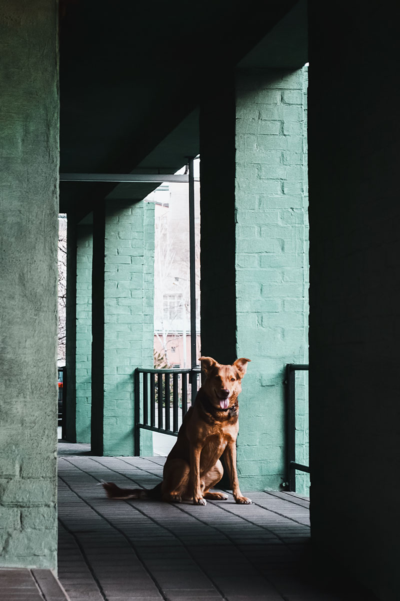 Portfolio Vitalii Yesypenko Photographer from kiev