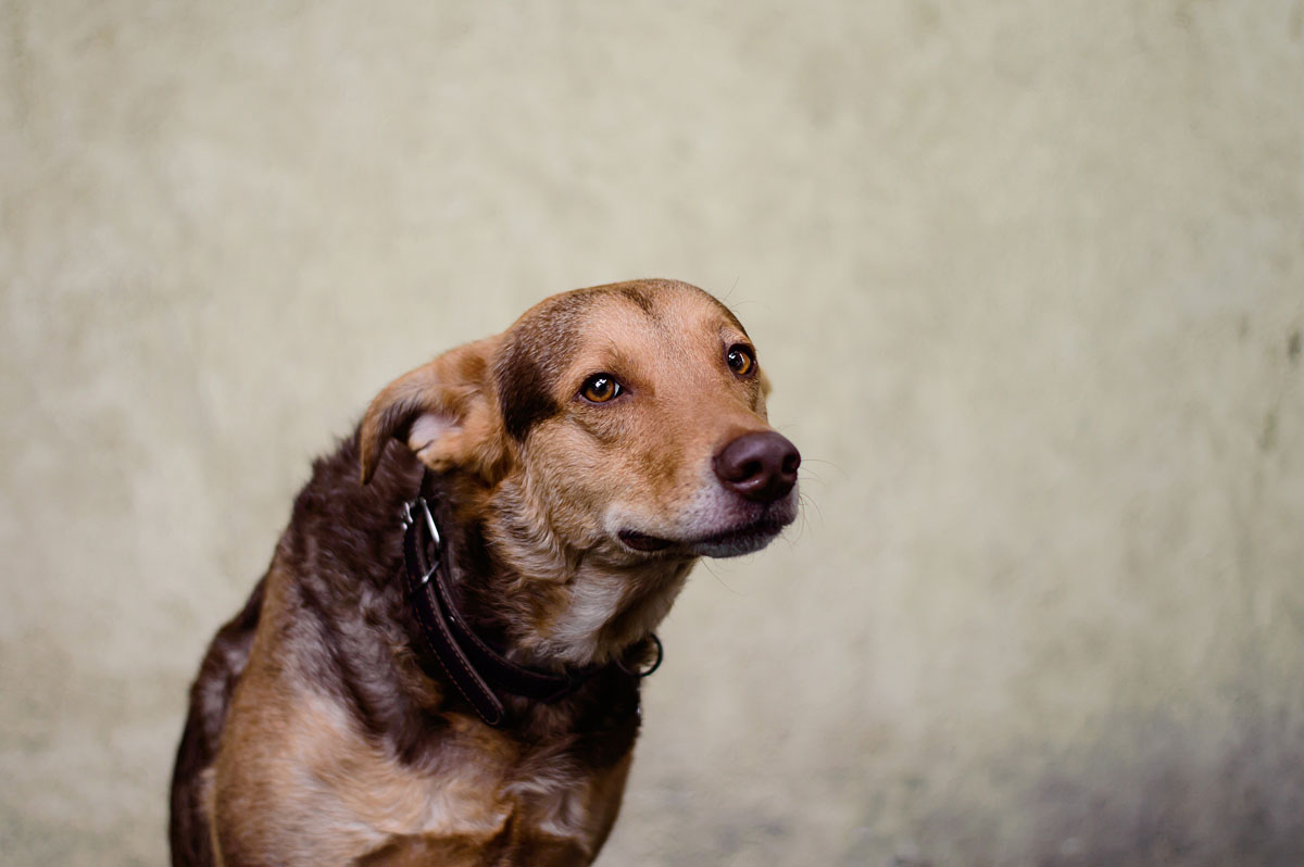 Portfolio Vitalii Yesypenko Photographer from kiev