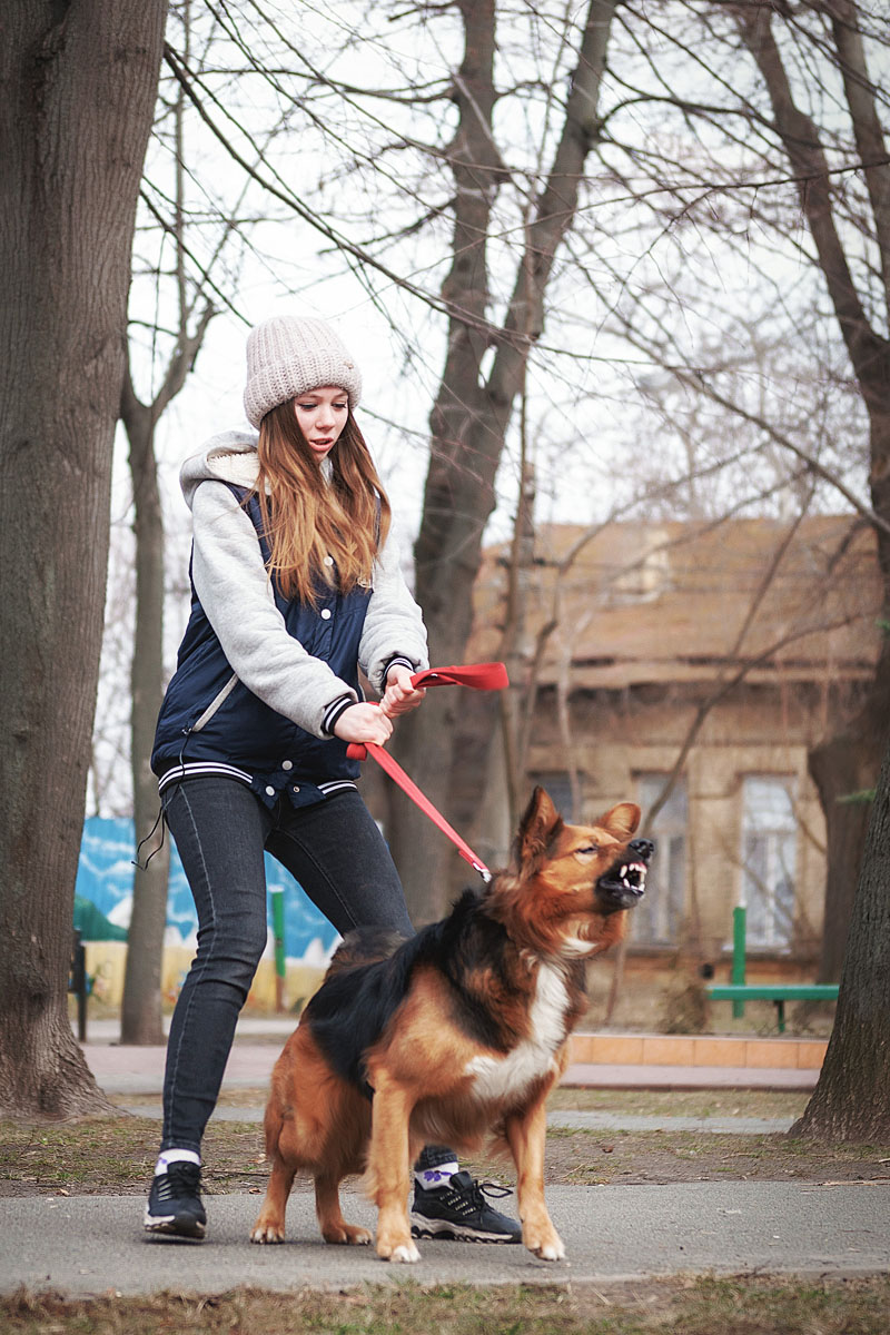 Portfolio Vitalii Yesypenko Photographer from kiev