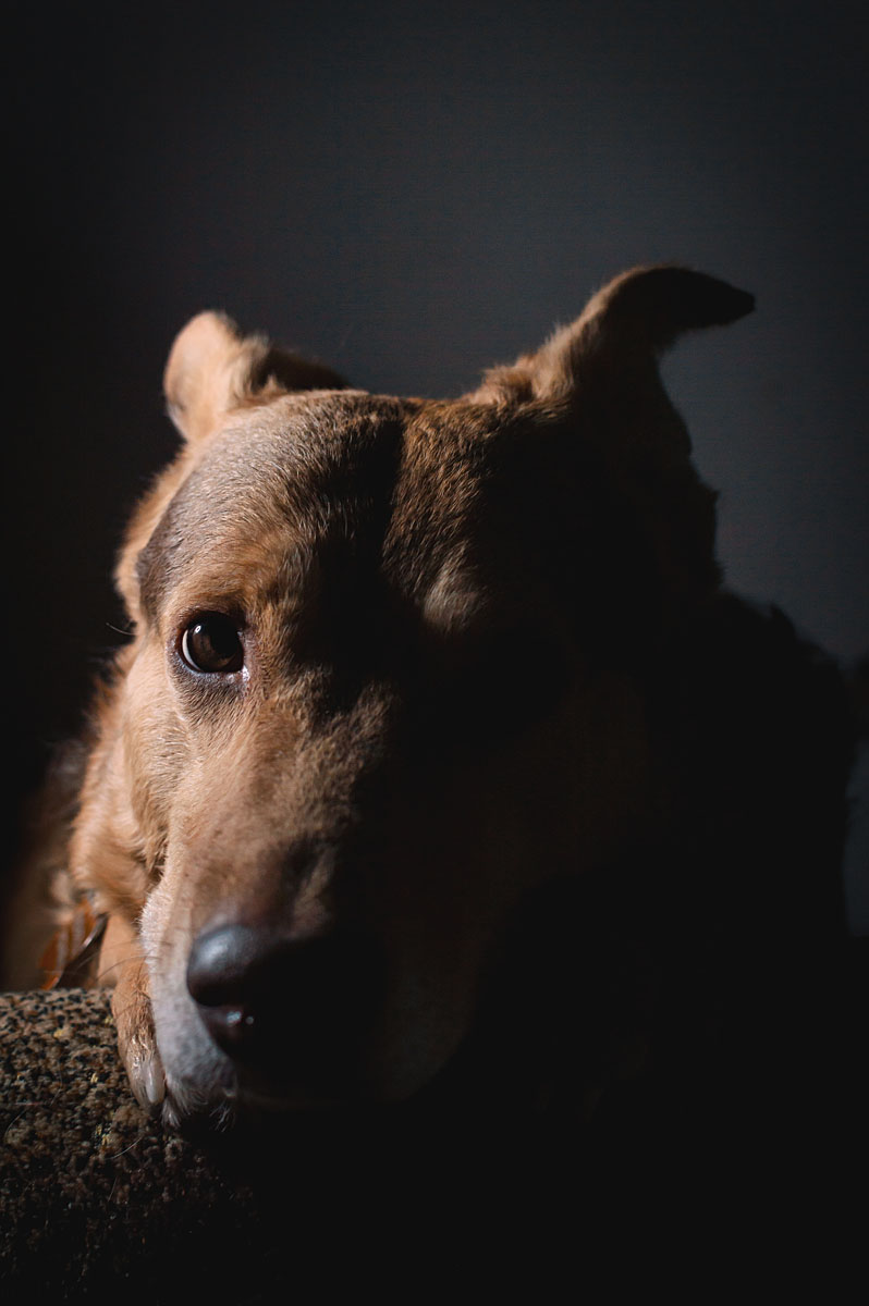 Portfolio Vitalii Yesypenko Photographer from kiev